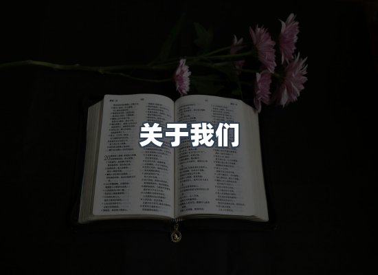 专业团队